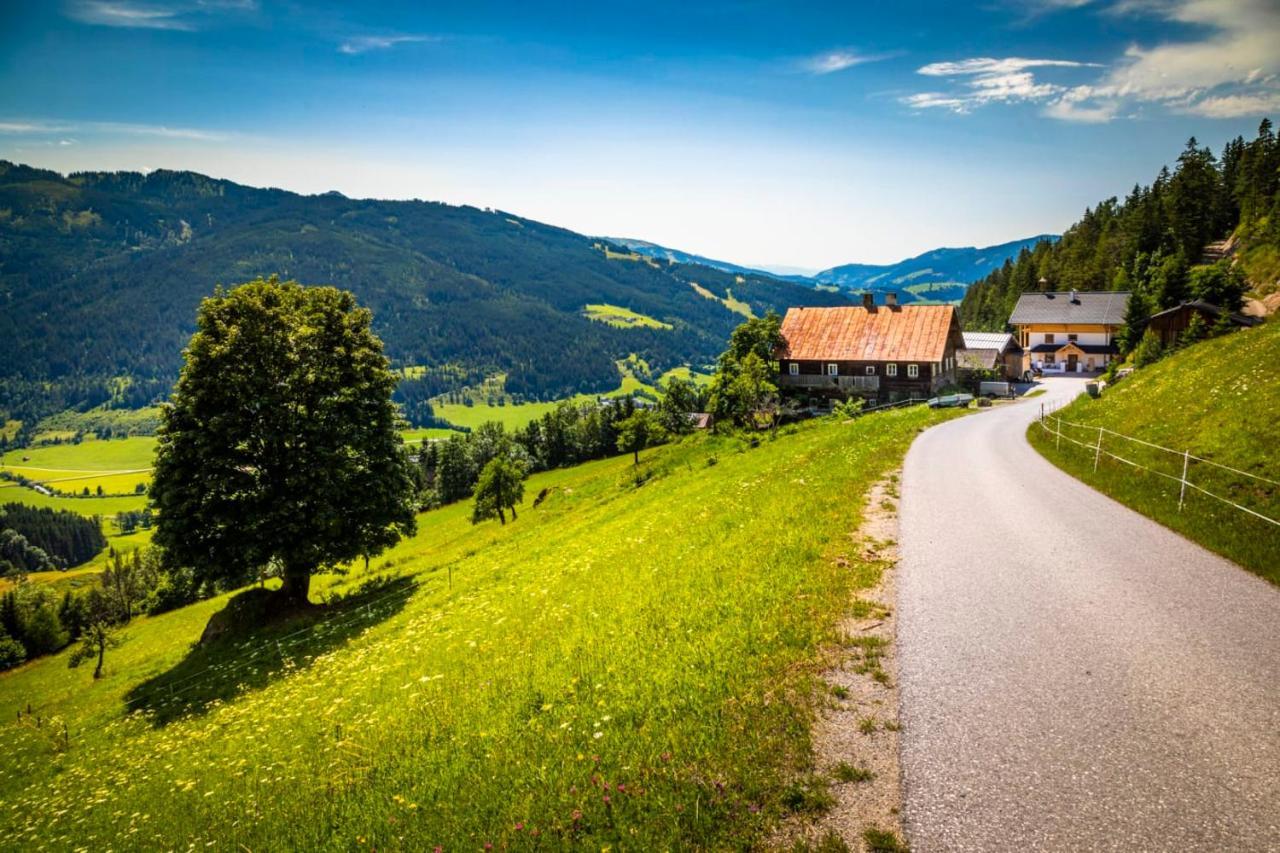 Premhof Apartment Radstadt Ngoại thất bức ảnh